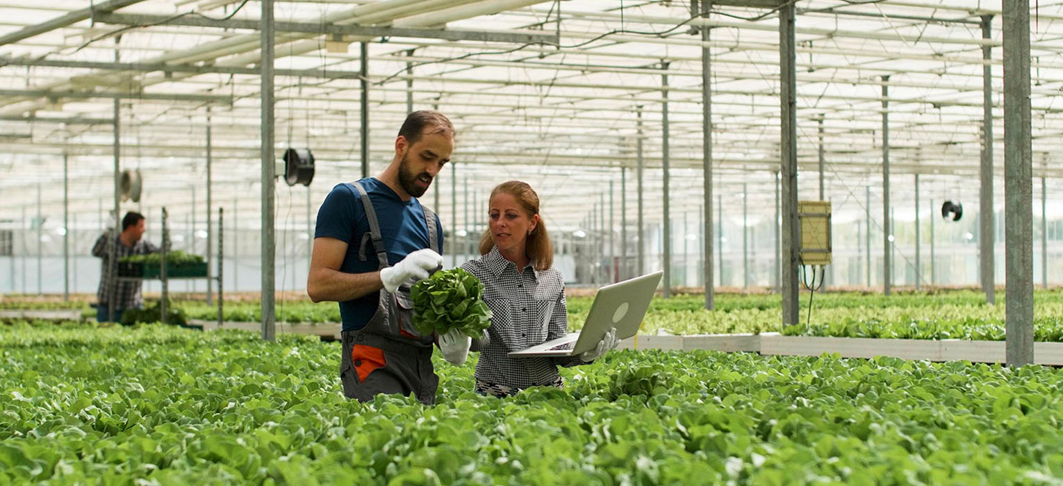 Agricultural Automation 3